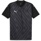 PUMA Herren Fantrikot teamGLORY Jersey, Größe XL in Grau