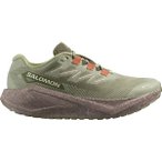 SALOMON Herren Laufschuhe SHOES AERO BLAZE 3 GRVL GTX Tea/Iron/Bur, Größe 46 i