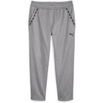 PUMA Herren Sporthose Puma Fit Taped PWRFLEECE J, Größe XL in Grau