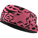 Dynafit Graphic Performance   Stirnbänder pink Größe ONE SIZE Trekking  Winda