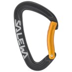 Salewa - Ortles Bent Carabiner - Schnappkarabiner grau