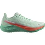 SALOMON Damen Laufschuhe SHOES AERO BLAZE 2 W Bay/Chert/Electg, Größe 41 ⅓ i