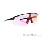 Alpina Turbo Pro Q-Lite Sportbrille-Schwarz-One Size