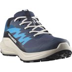 Salomon Alphaglide GTX  Herren  Trailrunningschuhe blau Größe 42 Trailrunning 
