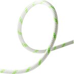 Edelrid Pintail 10.0mm Canyoningseil  Statikseile weiss Größe 40M Canyoning