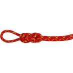 Mammut 8.0 Alpine Core Protect Dry Kletterseil  Kletterseile Klettern & Bouldern