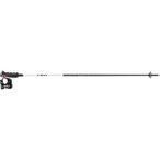 LEKI Damen Alpin-Skistock Carbon 14 3D Women, Größe 110 in Grau