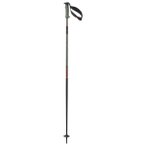 Salomon - Polar Pro S3 - Skistöcke Länge 105 cm grün