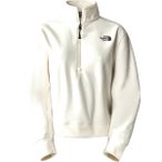 THE NORTH FACE Damen Rolli W 100 GLACIER HALF ZIP, Größe XS in Grau