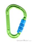 Edelrid Magnum Triple HMS-Karabiner-Grün-One Size