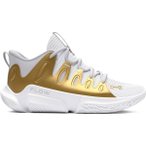 UNDER ARMOUR Damen Basketballschuhe UA W FLOW BREAKTHRU 4, Größe 38 ½ in Grau