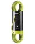 Edelrid Apus Pro Dry 7,9 - Halb/Zwillingsseil, Gr. 70
