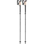 Leki Black Series FX Carbon Stöcke (Größe 110-130cm, schwarz)