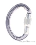 Petzl Omni Screw-Lock Schraubkarabiner-Silber-One Size