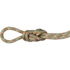 MAMMUT Bergseil 9.5 Gym Classic Rope 40m, Größe 40 in Braun