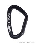 Salewa Ortles Straight Schnappkarabiner-Schwarz-One Size