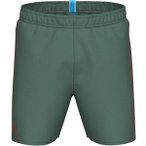 ARENA Herren Badeshorts FUNDAMENTALS LOGO BOXER, Größe XXL in Grün