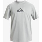 QUIKSILVER Herren Shirt SURF TEE SS SFSH, Größe M in Grau