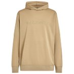 Icebreaker - Merino 360 Realfleece Elemental L/S Hoodie - Merinohoodie Gr M beig