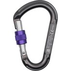 Beal Be Lock A Vis - Schraubkarabiner matt grey