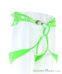 Edelrid Ace Klettergurt-Hell-Grün-L
