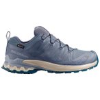 Salomon - Women's XA Pro 3D V9 GTX - Multisportschuhe 44 grau