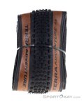 Continental Terra Adventure TLR 28'' transparent Reifen-Braun-28x1,75
