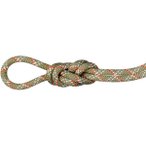Mammut 9.5 Gym Classic Kletterseil (Größe 50M, grau)