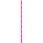 Edelrid Performance Static 10.5 mm Statikseil (Größe 50M, pink)