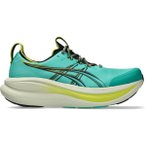 ASICS Herren Laufschuhe GEL-NIMBUS 28 TR, Größe 44 in Grau