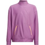 ADIDAS Kinder Sweatshirt G COLD.RDY SWT, Größe 152 in Grau