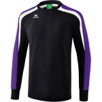 ERIMA Kinder Liga 2.0 Sweatshirt, Größe 116 in Schwarz