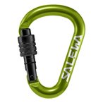 Salewa HMS Screw G2 Karabiner  Karabiner gruen Größe M Sportklettern