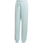 ADIDAS Damen Hose W ALL SZN PT, Größe L in Blau