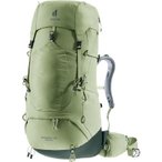 deuter Aircontact Lite 45+10 SL - Damen-Trekkingrucksack grove-ivy