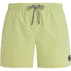 PROTEST Herren Badeshorts PRTYESSINE beachshort, Größe M in Grün