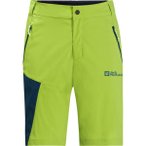 JACK WOLFSKIN Herren Shorts GLASTAL SHORTS M, Größe 46 in Grün