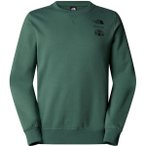 THE NORTH FACE Herren Sweatshirt M OUTDOOR GRAPHIC CREW, Größe XL in Grün