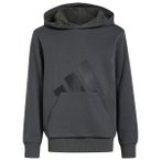 adidas - Kid's Essentials Hoodie - Hoodie Gr 128 grau