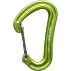 Edelrid Nineteen G Karabiner  Karabiner gruen Größe One Size Alpinklettern