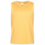 Chillaz - Vils Mountain Logo - Tank Top Gr S beige