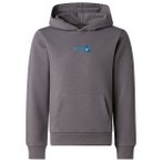 The North Face - Boy's Liquid Logo Reg Hoodie - Hoodie Gr XS grau