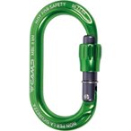 C.A.M.P. Ekto Lock - Materialkarabiner green einzeln