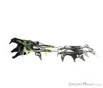 Black Diamond Snaggletooth Steigeisen-Grau-One Size