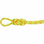 Mammut 9.5 Alpine Core Protect Dry 50 m Einfachseil Unisex ( Hellgrün Größe,)