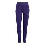 adidas Tiro25 Competition Trainingshose Damen