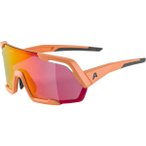 ALPINA Herren Brille ROCKET Q-LITE, Größe ONE SIZE in Braun
