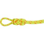 Mammut 9.5 Alpine Core Protect Dry Kletterseil (Größe 50M, gelb)