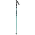 SCOTT Herren Alpin-Skistock SCO Pole SEA, Größe 125 in Blau
