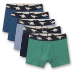 Sanetta - Boy's Set Shorts 5-Pack - Unterhose Gr 104 bunt